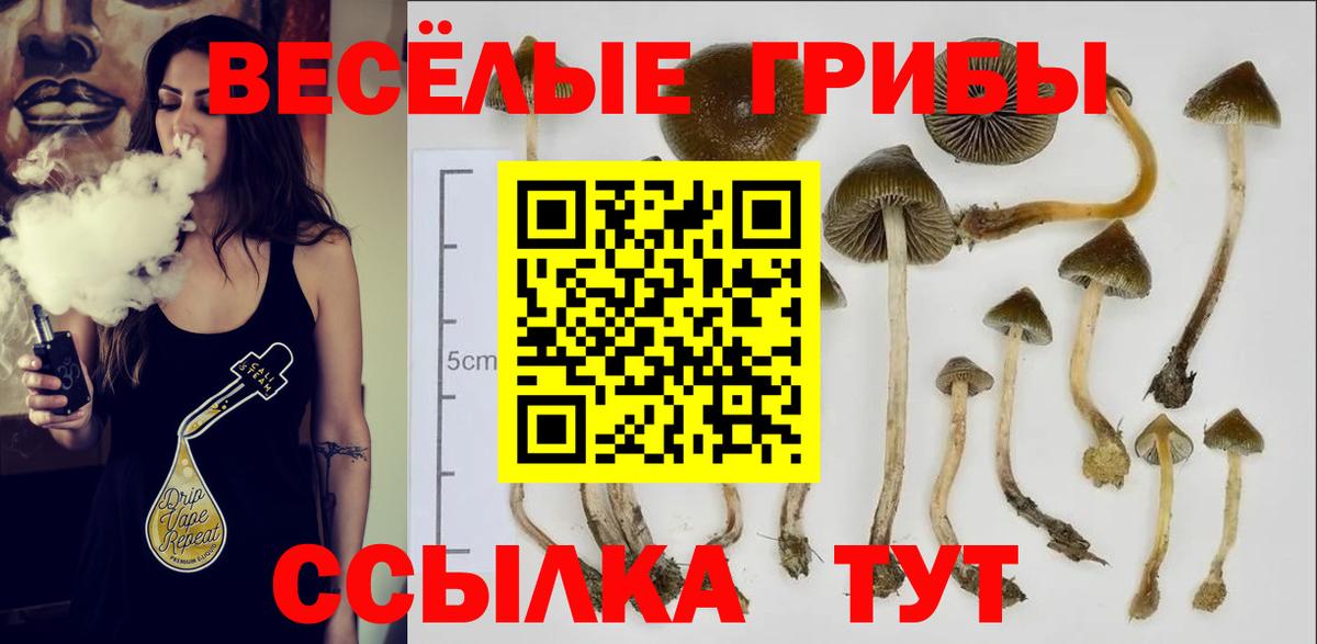 Псилоцибиновые грибы Magic Shrooms  Вход с VPN  Псилоцибиновые грибы Psilocybe  купить наркотик  Зеленогорск 